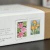 coffee-break-silk-painting-kit-designs-pink-lotus-and-orange-calla_IMG_3890 Learn Silk Painting at Home