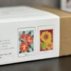 coffee-break-silk-painting-kit-designs-red-hibiscus-and-sunflower-alt_IMG_3887 Learn Silk Painting at Home